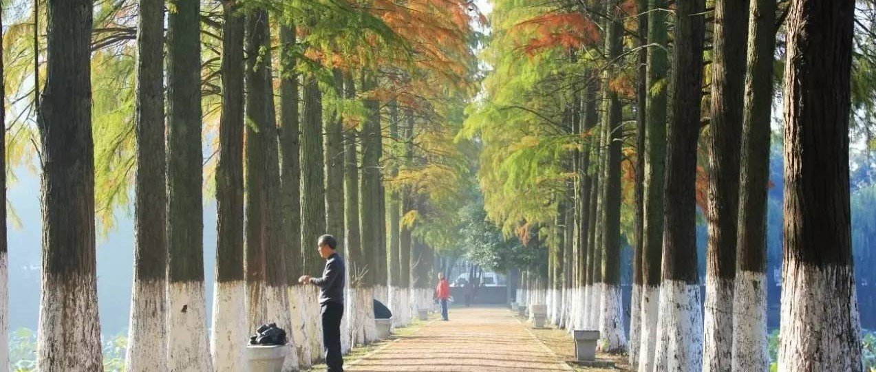 展架-4,展架-5